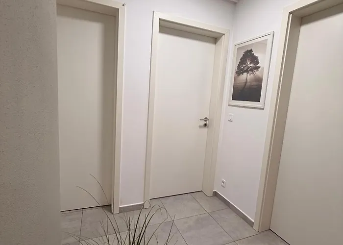 Lep Coresi Walk To Everything * ブラショフ